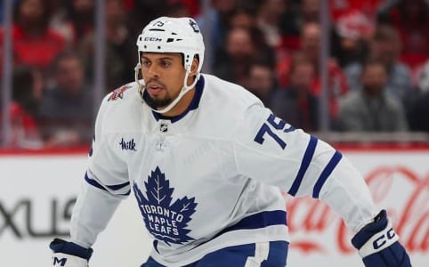Ryan Reaves slammed for his actions in Thursday’s game