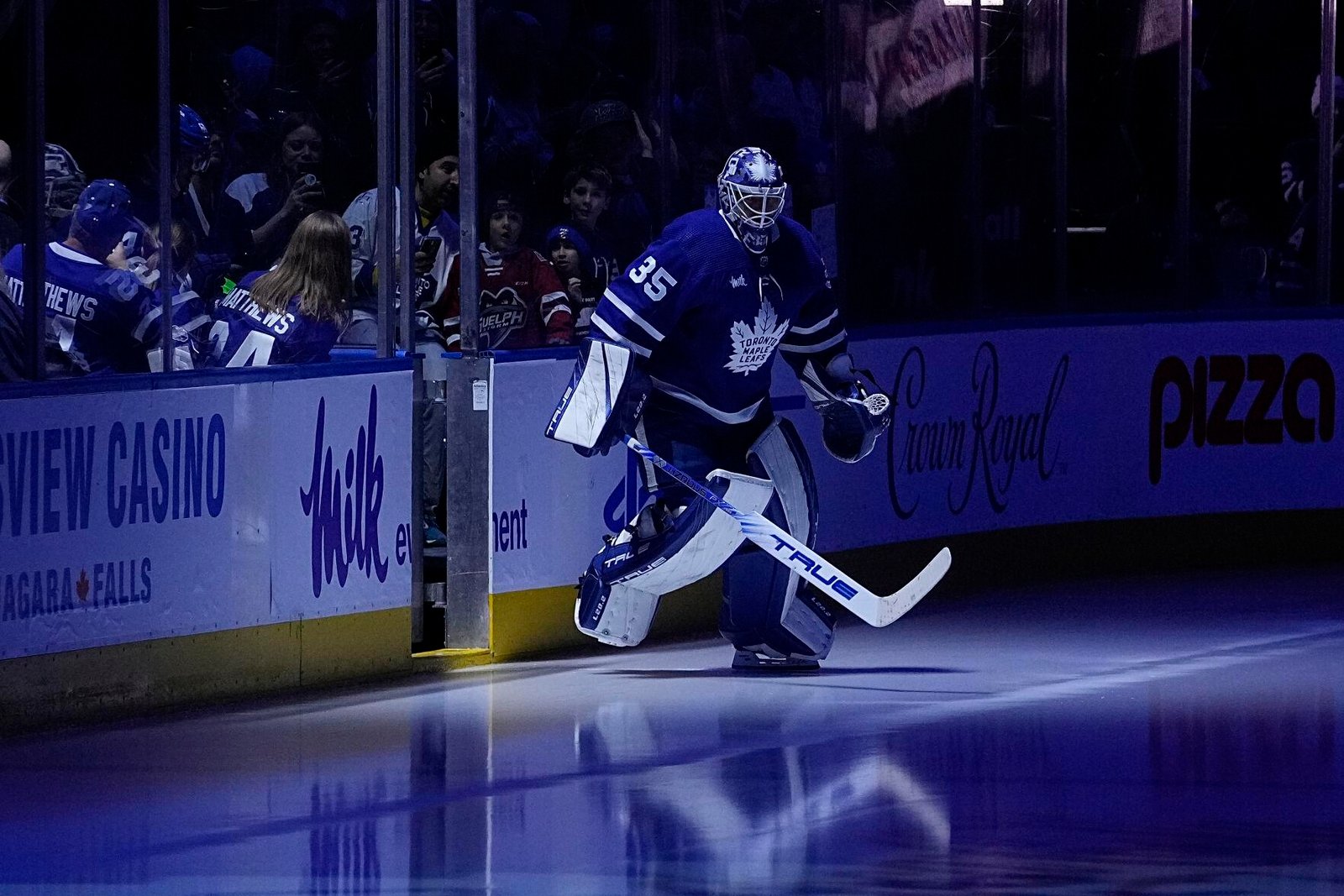 Ugly goalie trade plans keep emerging in Toronto... 