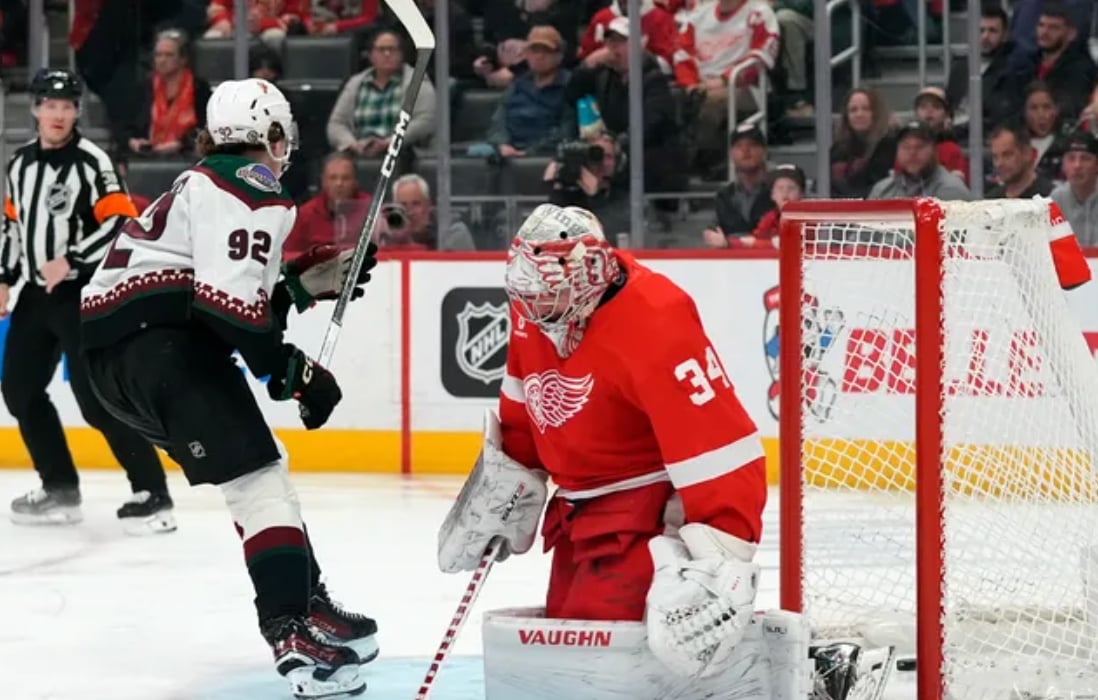 Red Wings state the obvious after their latest blunder vs. Arizona 