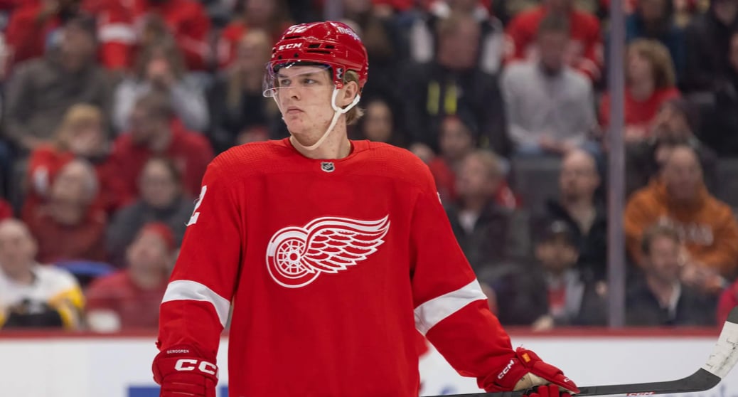 Red Wings announce “emergency” roster move 