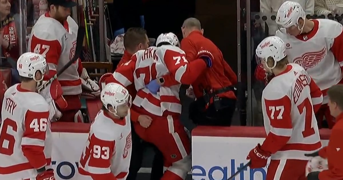 Dylan Larkin injured 28 seconds into today's game.
