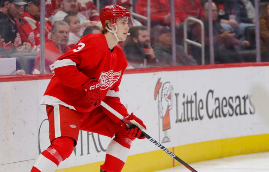 Red Wings fans left bewildered after latest roster move