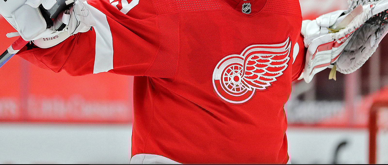 Former Red Wings goaltender hangs up the pads 