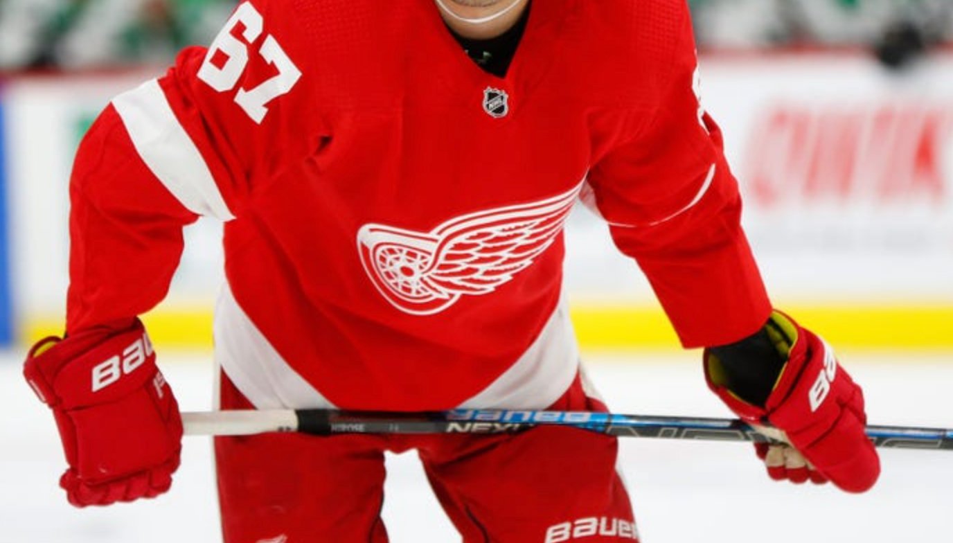 Red Wings prospect slapped with multi-game suspension 