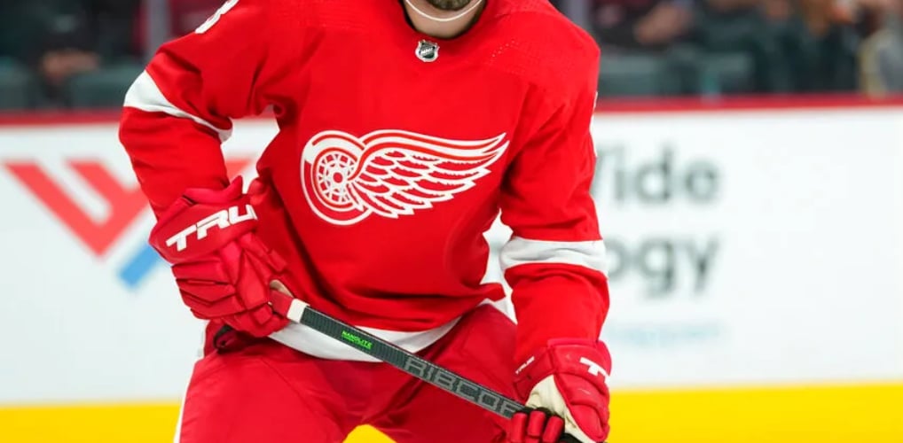 Red Wings player is being accused of assault 