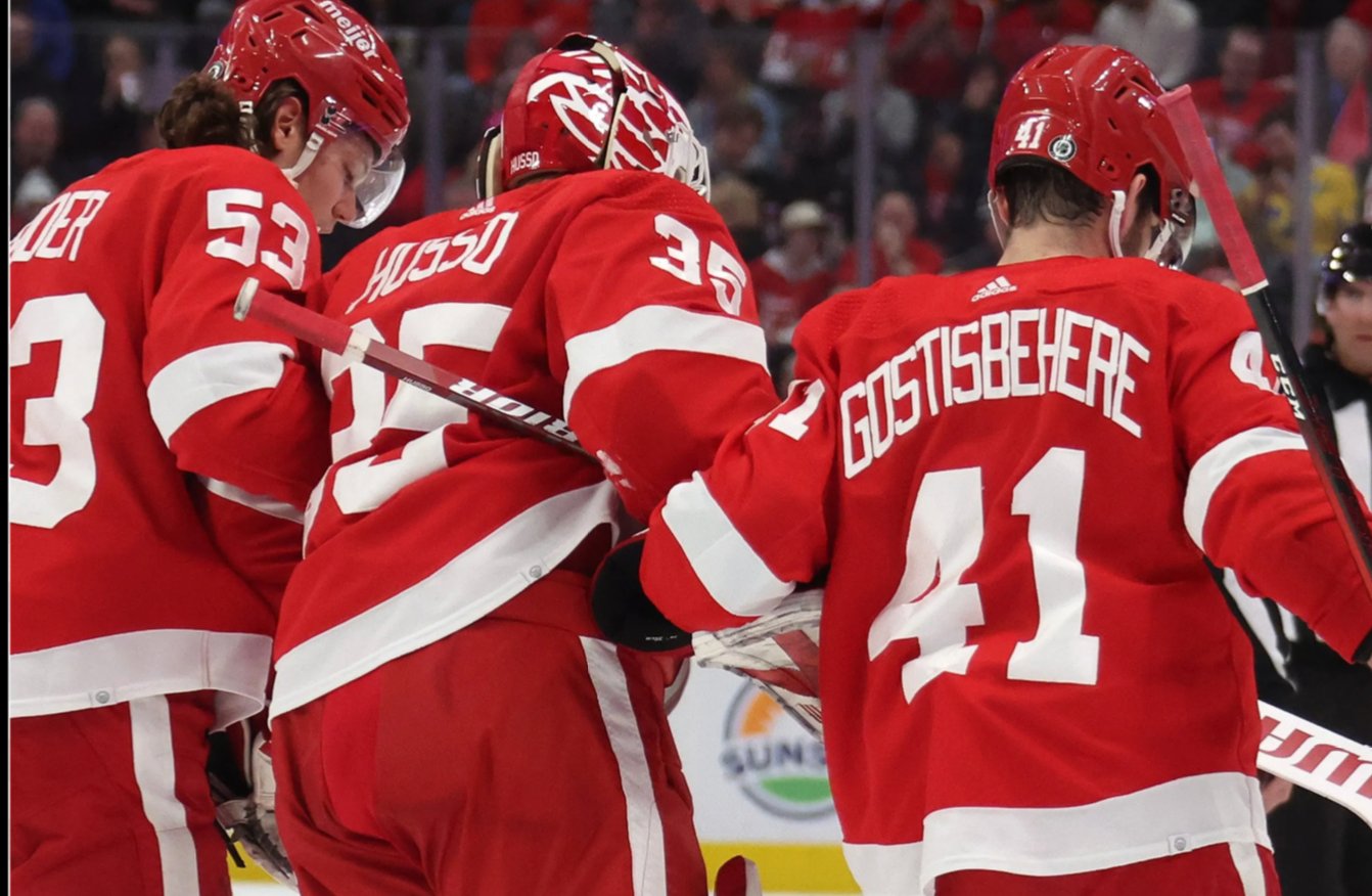 Red Wings release bad injury news 