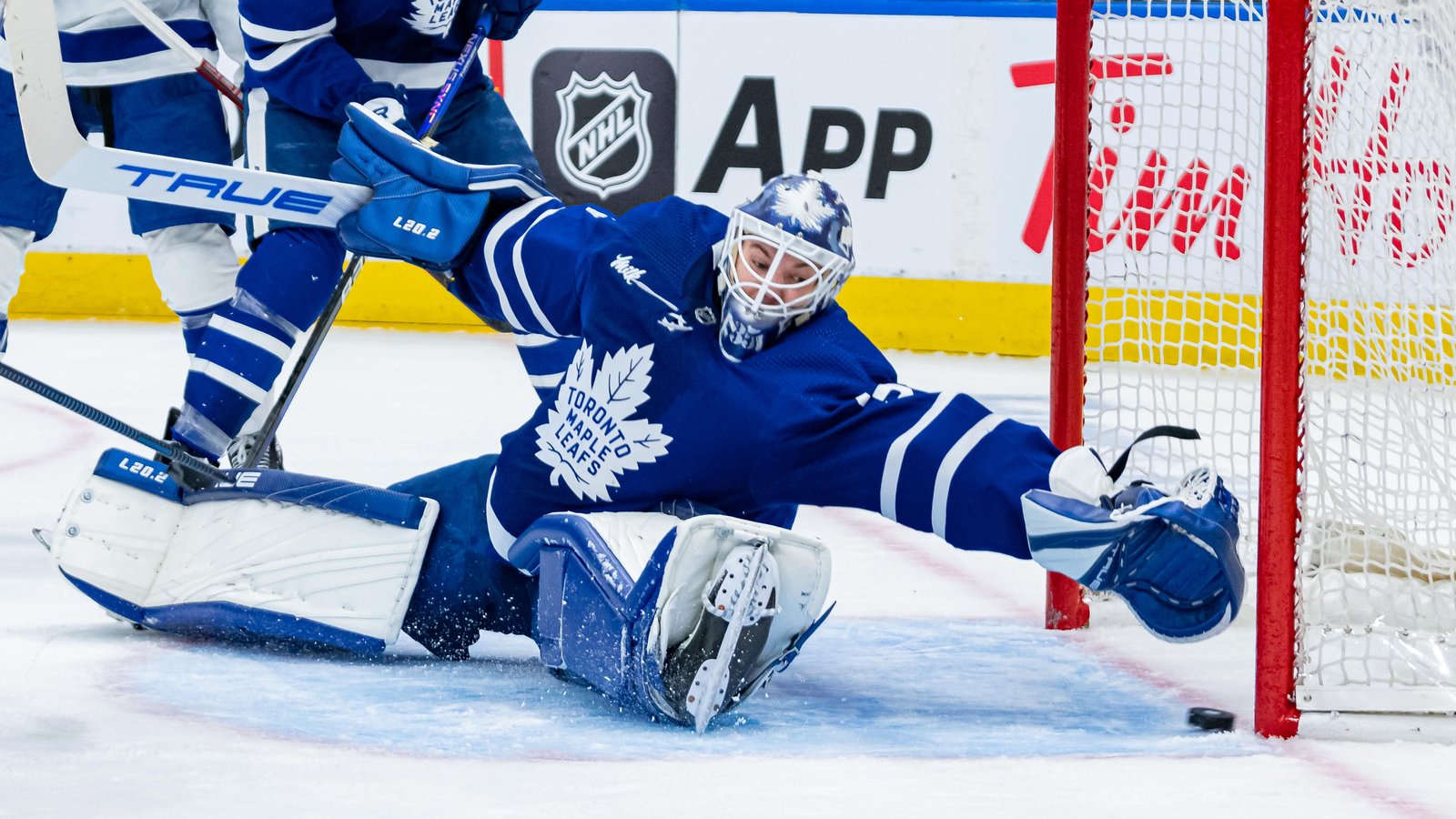 Ilya Samsonov is back with the Maple Leafs!