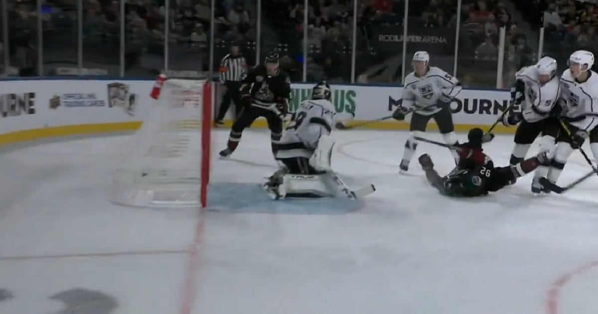 Rookie Logan Cooley claims goal of the year already?