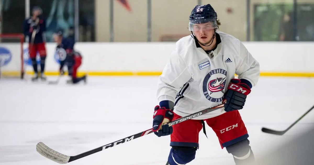 NHL rookie demoted to the AHL for missing team meeting.