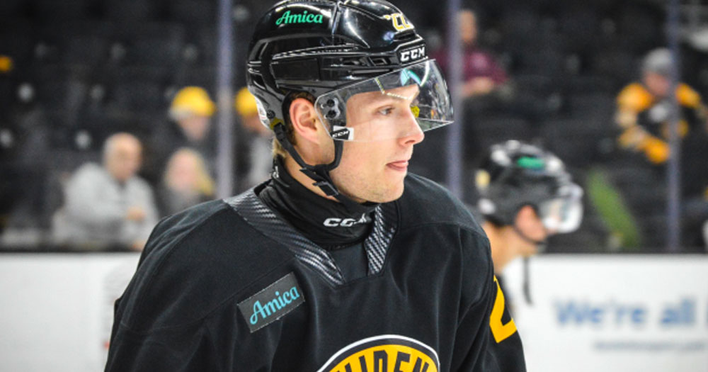 NHL team institutes mandatory neck guard and wrist guard policy