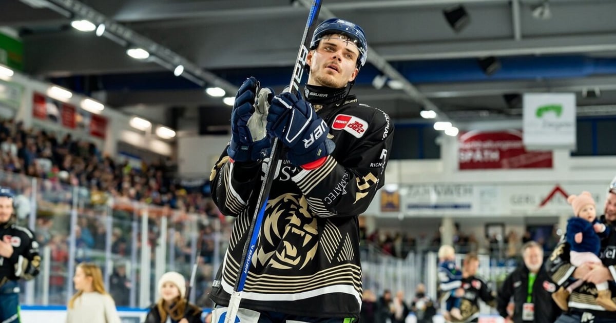 Maple Leafs sign 6'5 224 lbs defenseman playing in Germany.