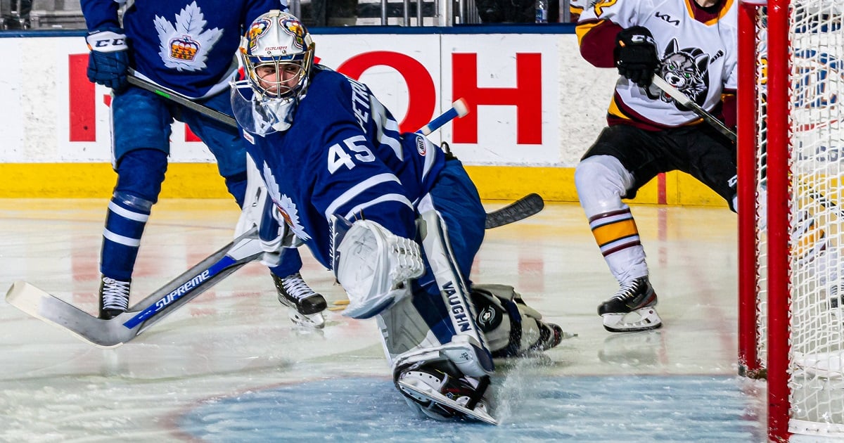 Maple Leafs forced to sign new goalie due to injuries.