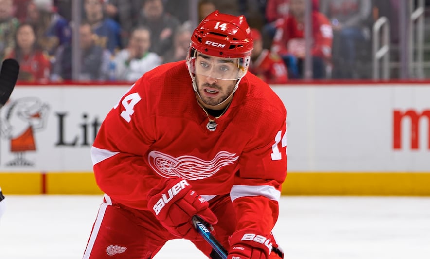 Red Wings' Robby Fabbri to miss multiple weeks 