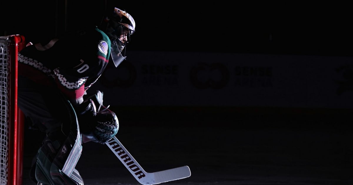 NHL insider drops hints of a potential goalie trade.