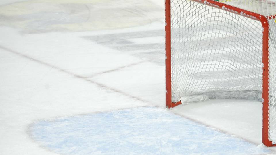 Veteran goalie leaves free-agent market and retires!