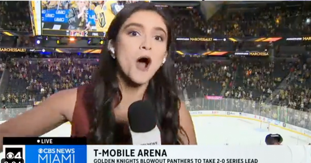 Panthers reporter stiff-arms a rowdy Vegas fan while live on air