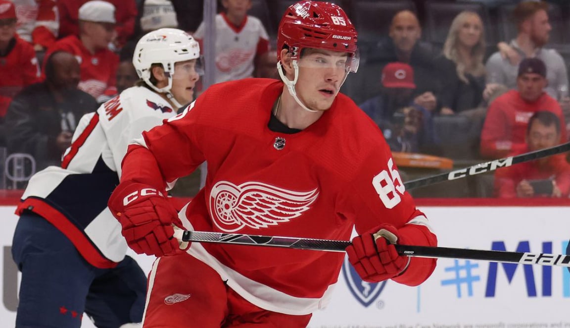 Red Wings provide crucial injury updates 