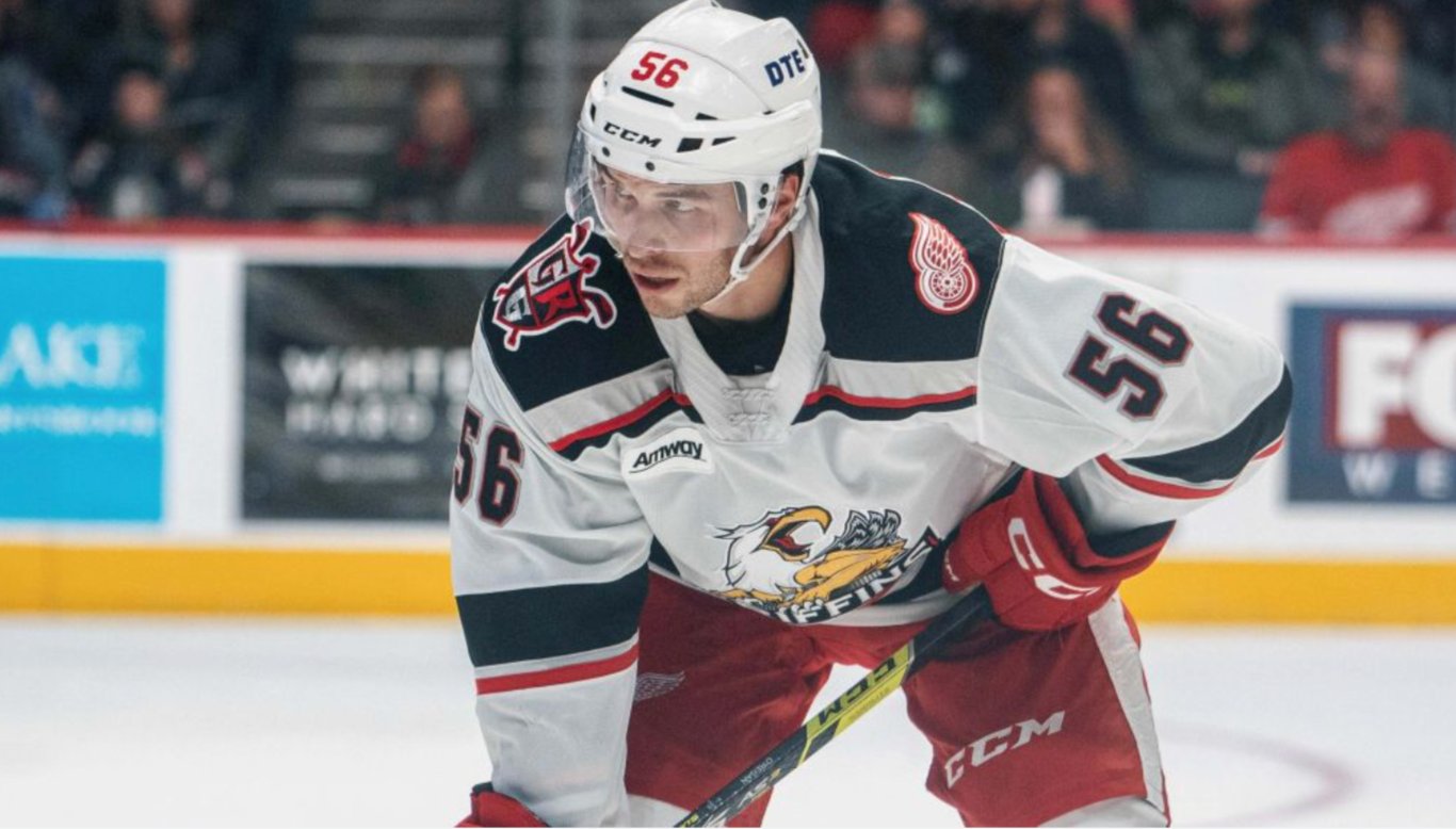 Red Wings announce another emergency roster move 