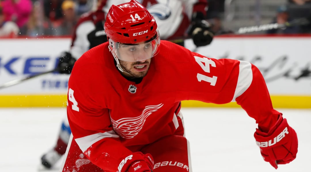 Red Wings' Robby Fabbri delivers crucial health update 