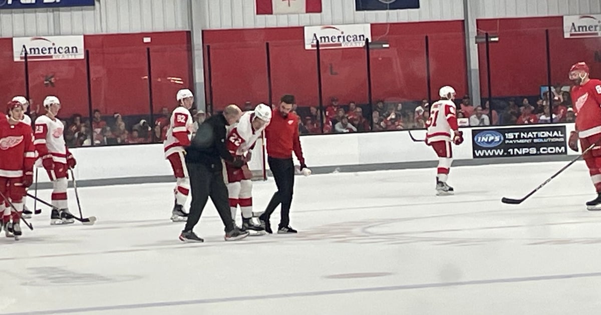 Red Wings suffer a serious looking injury in preseason.