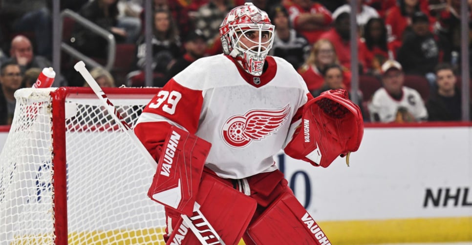 Red Wings announce another emergency callup