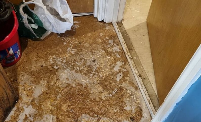 Une femme voit sa maison complètement inondée de caca