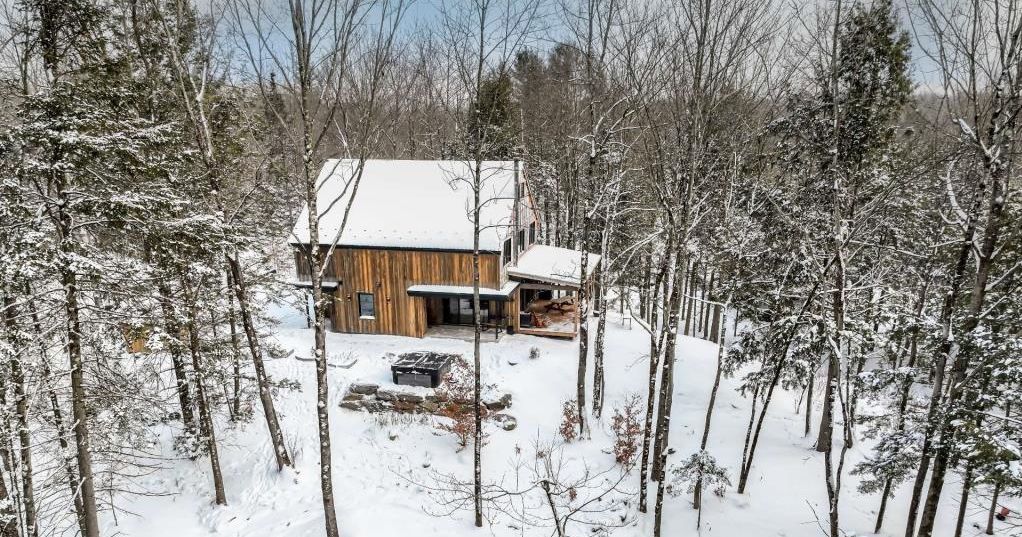 Merveille contemporaine en pleine forêt 