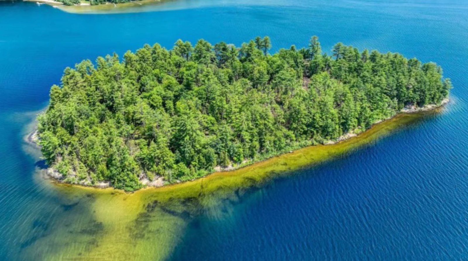 Cette île privée à vendre au Québec est l'endroit parfait pour les amateurs de tranquillité absolue.