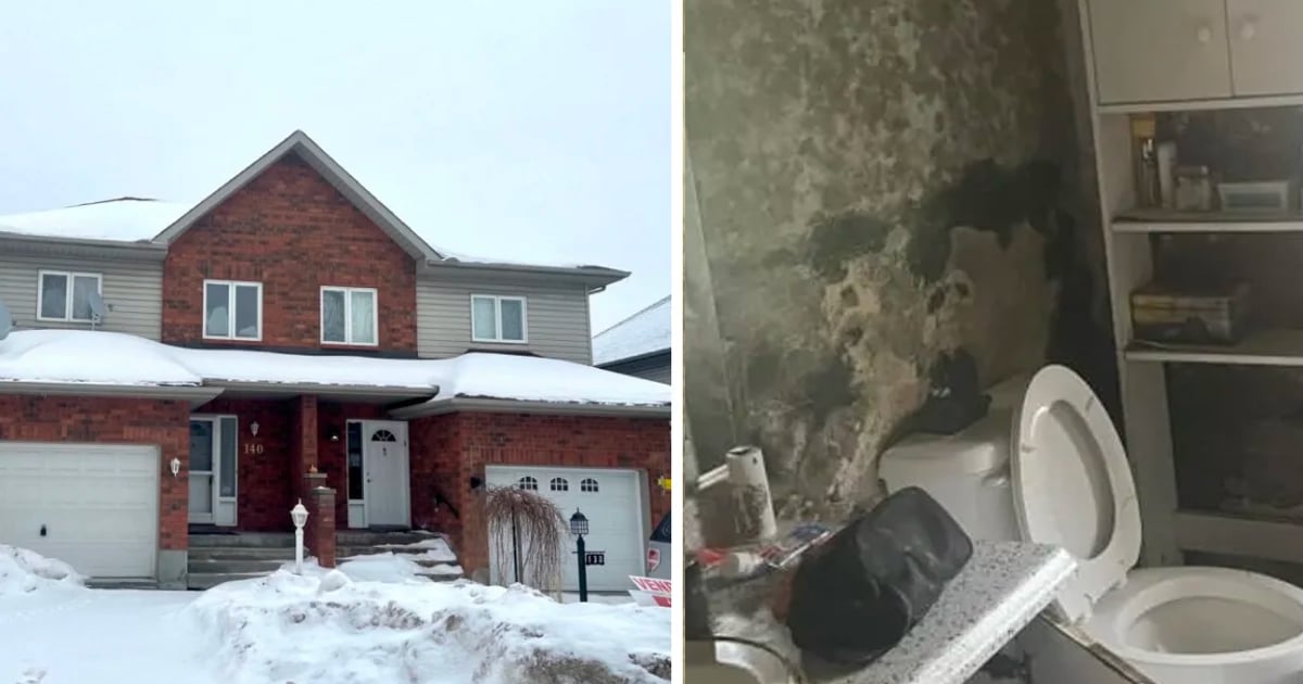 Les photos de cette maison à vendre à Hull pour 300 000$ font beaucoup jaser. 
