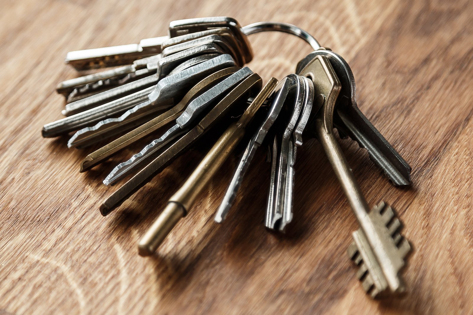 Des locataires acceptent des milliers de dollars de leur proprio pour quitter leur logement.