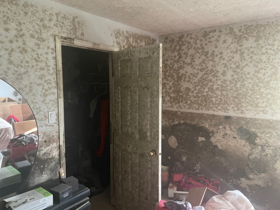 Cette maison à vendre est décrite par le courtier comme étant « une zone de guerre »