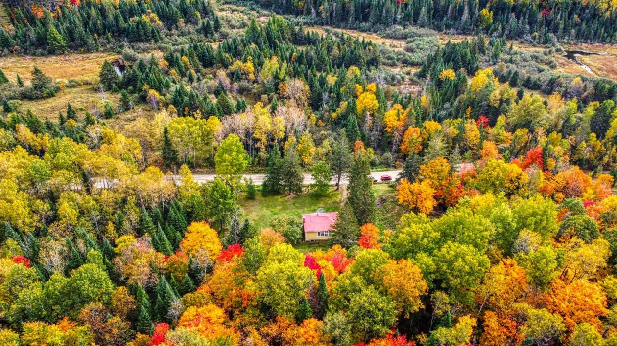 Lieu d'évasion par excellence à seulement 174 900$, niché sur 2,16 acres de forêt traversée par un ruisseau