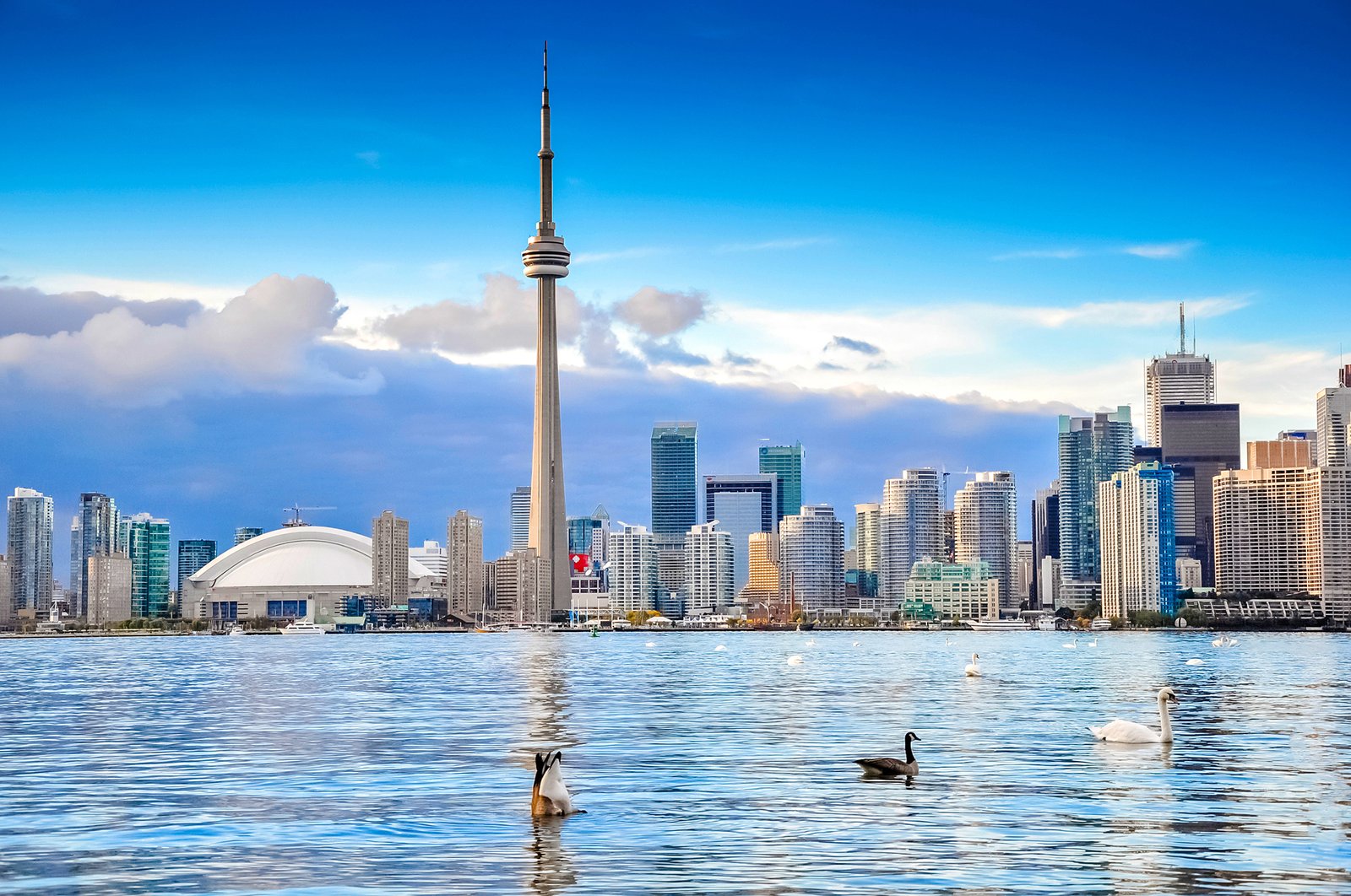 Il faut maintenant 2300 $ en moyenne pour louer un appartement à Toronto