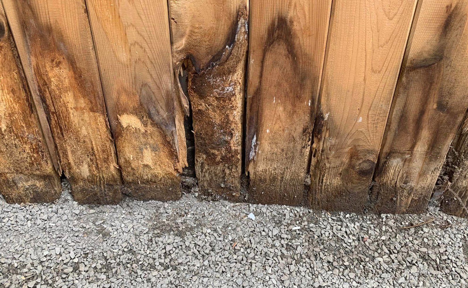 Des Québécois se retrouvent avec des piscines de chez Trévi pourrites après quelques années.