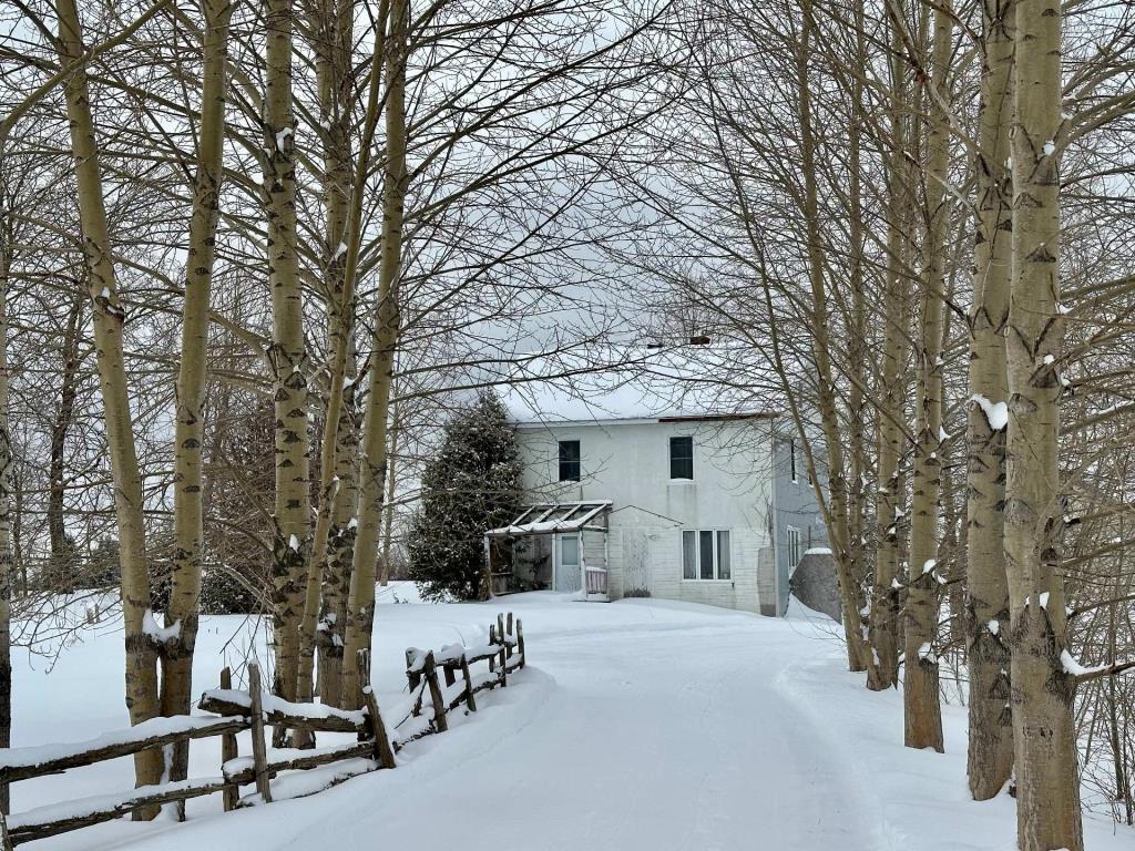 Chaleureuse, lumineuse: une maisonnette champêtre à 129 000$ sur un beau grand terrain de 74 642 pi²
