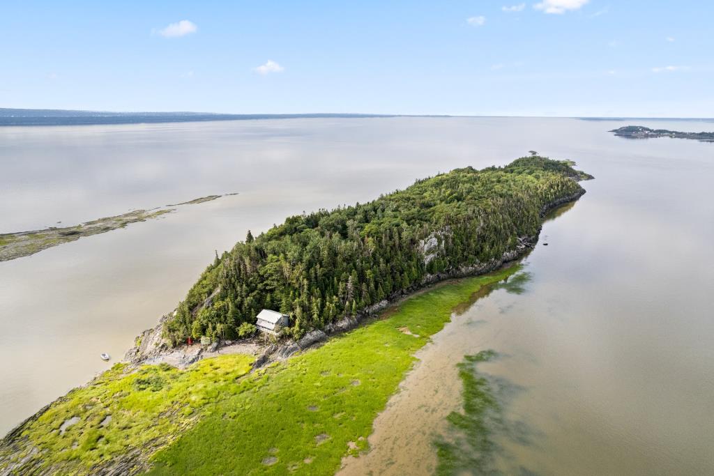 Cette île privée de 28 acres au milieu du fleuve Saint-Laurent est à vendre