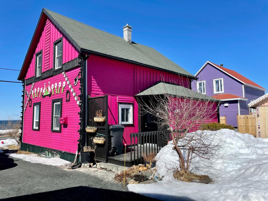 Un rare bijou meublé à 214 500$! Maison au décor insolite avec vue imprenable sur le fleuve Saint-Laurent