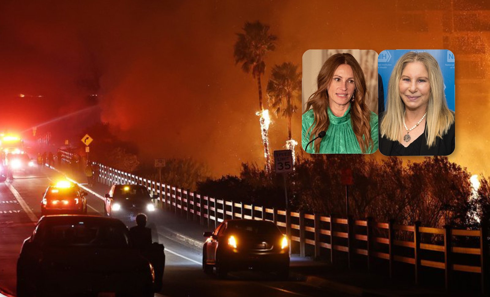 Julia Roberts, Barbra Streisand, Dick Van Dyke et Cher font partie des célébrités obligées d'évacuer leurs maisons alors que les incendies de forêt ravagent Malibu