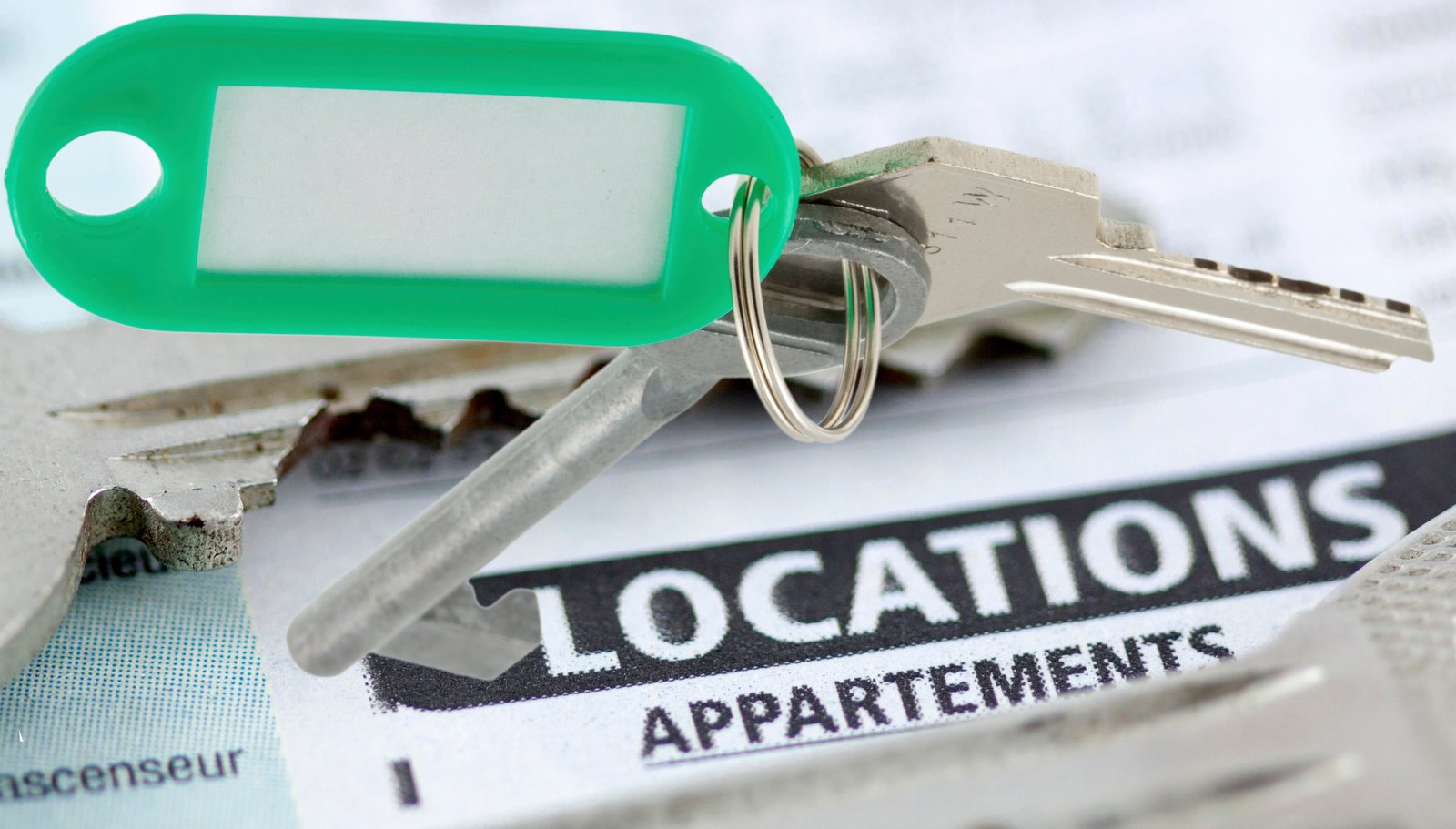 Une toute nouvelle plateforme où les locataires peuvent noter leur propriétaire ne fait pas l'unanimité