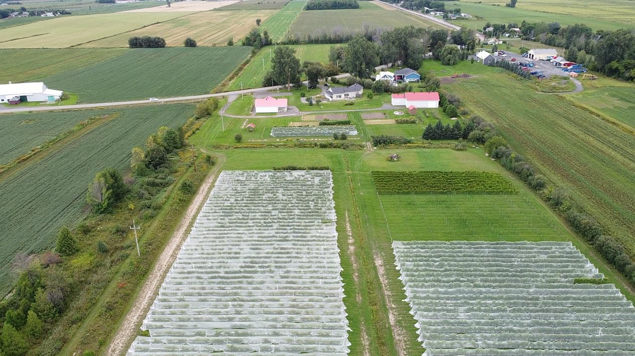Réalisez votre rêve en devenant propriétaire d'un vignoble certifié bio à 1h de Montréal