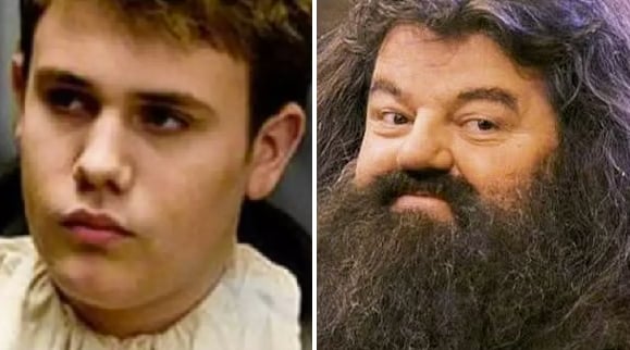 24 acteurs d'Harry Potter qui sont décédés