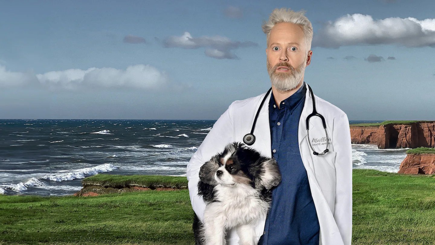 Radio-Canada fait une importante annonce concernant l'avenir de la série Temps de chien