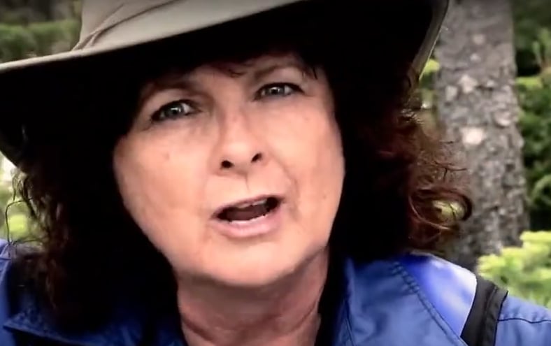 Louise Laparé fait son grand retour à la télévision dans une importante série