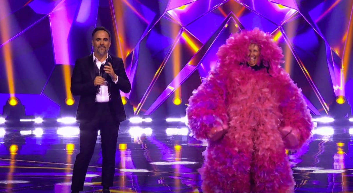 Les cotes d'écoute de Chanteurs masqués sont dévoilées et cela confirme ce que l'on pensait