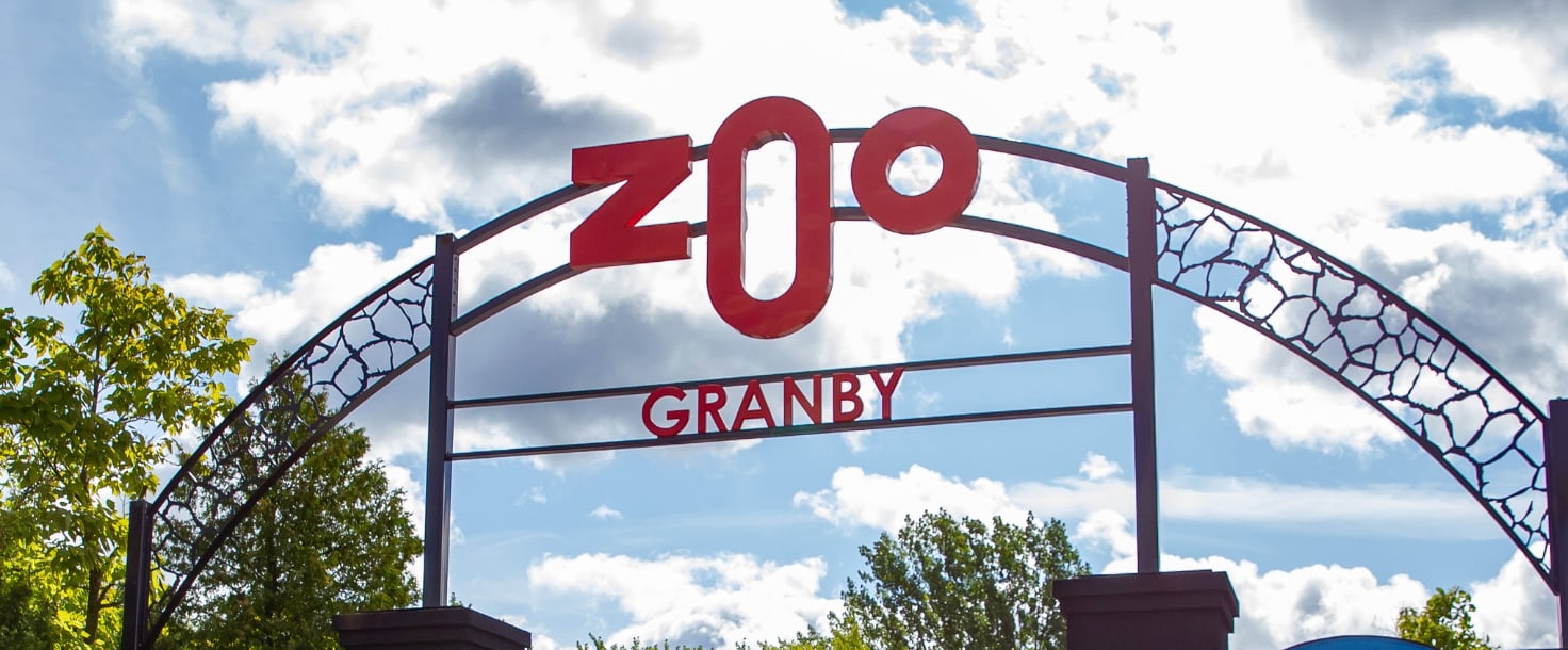 Le Zoo de Granby vous présente leurs trois nouveaux pensionnaires d’une espèce menacée