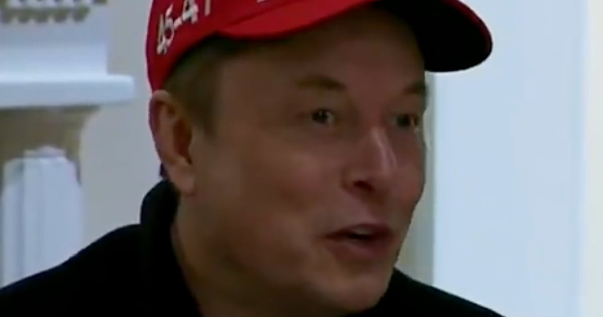 La casquette d'Elon Musk vole la vedette lors d'une réunion du cabinet de Donald Trump