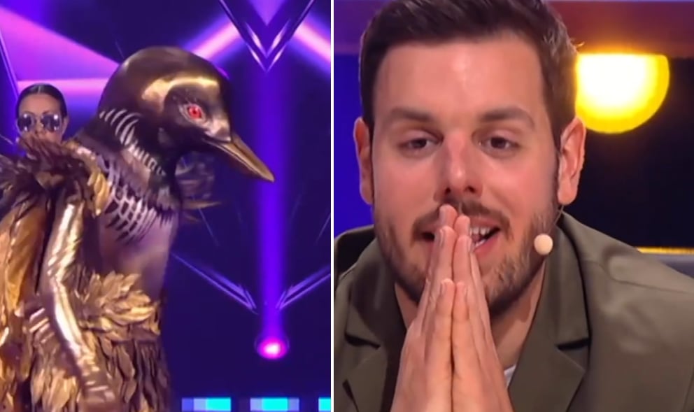 Une chanteuse de 81 ans vient de se faire démasquer à Chanteurs Masqués 