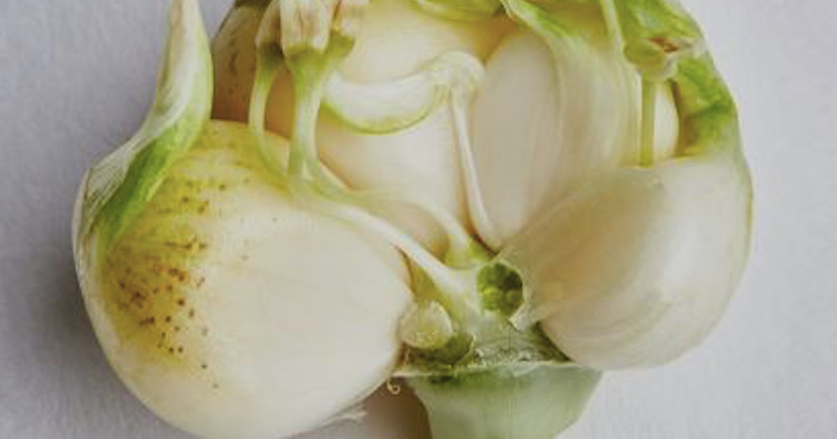 Est-il sûr de manger de l'ail germé?