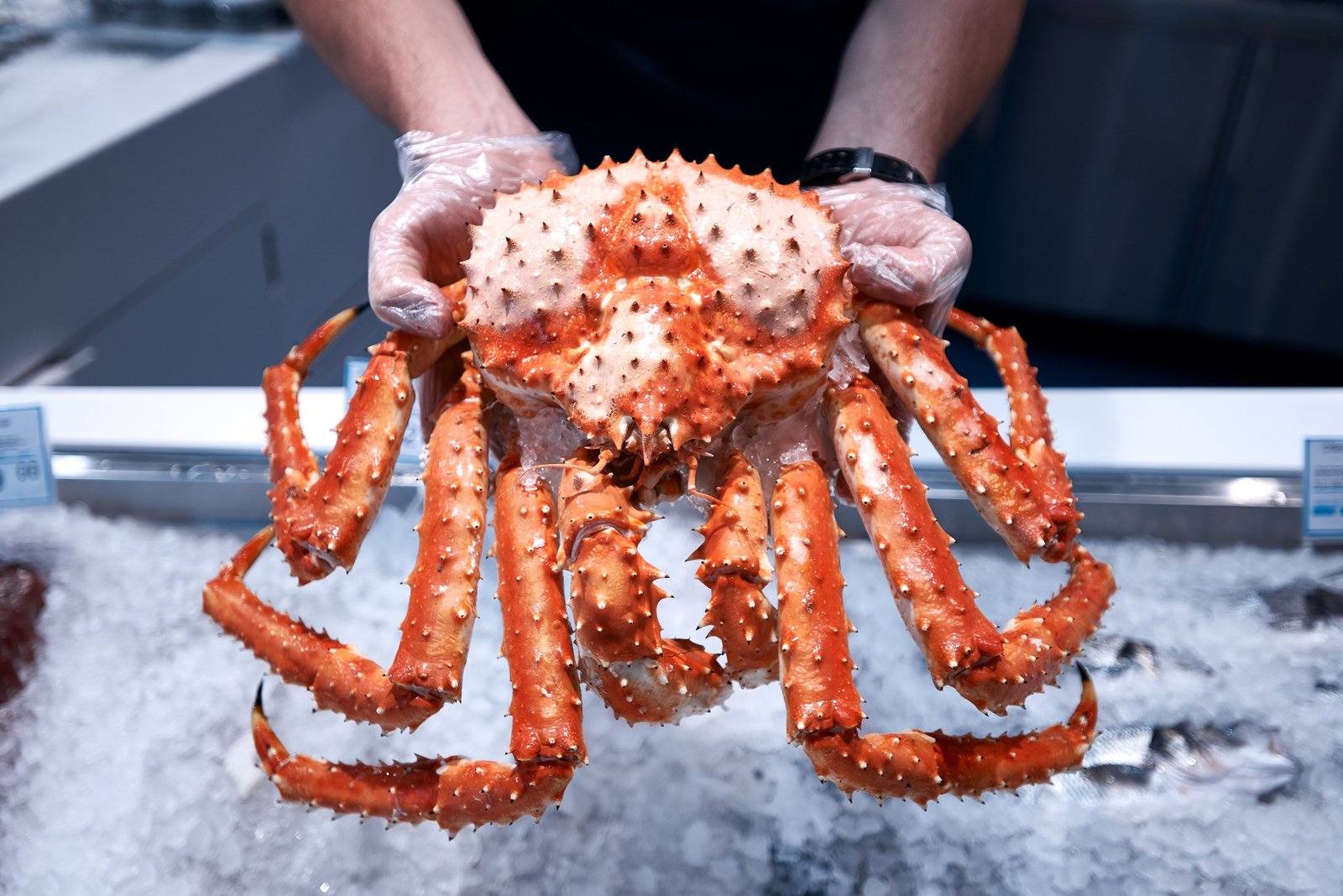 Les Québécois capotent avec le prix du crabe des neige et le boudent.