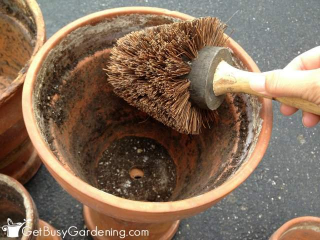 Как правильно пересаживать цветы из горшка в горшок. Горшок для водных растений. Малыш на горшке. Когда убирать горшок. Рыхление почвы в горшке.